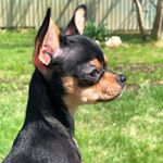 Profile Picture of Jessie 💗🥥 (@jessie_coconutgirl) on Instagram