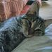 Profile Picture of Joan Kelley (@joan.kelley.3363) on Facebook