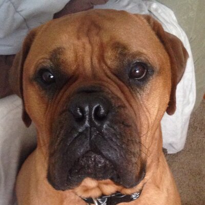 Profile Picture of Jason Brann (@Branny20) on Twitter
