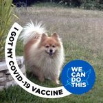 Profile Picture of Paula Phipps (@phipps5906) on Instagram