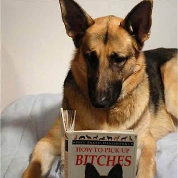 Profile Picture of Larry Fox (@larryfox620) on Poshmark