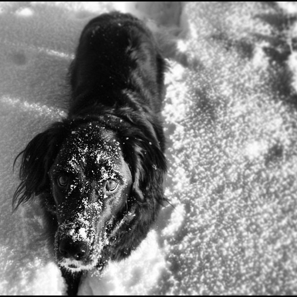 Profile Picture of Emma Zanetti (@emmazan) on Poshmark