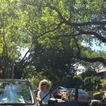 Profile Picture of Kirsten Peterson (@kirstenpeterson8096) on Instagram