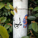 Tomás Muriel - Instagram Profile Picture of Tomás Muriel (@knight_stealth) on Instagram