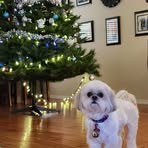 Profile Picture of Dylan Chandler (@Dylan-Chandler) on Facebook