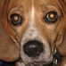 Profile Picture of Douglas Battman (@douglas.battman) on Facebook