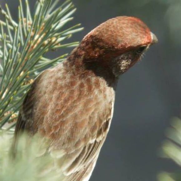 Tina Doorneweerd - Poshmark Profile Picture of Tina Doorneweerd (@tinadoorneweerd) on Poshmark