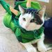 Profile Picture of Megan Chuhran (@Mkchuh54) on Pinterest