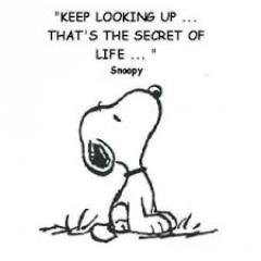 Profile Picture of Chris Panos (@chrispanos22) on Twitter