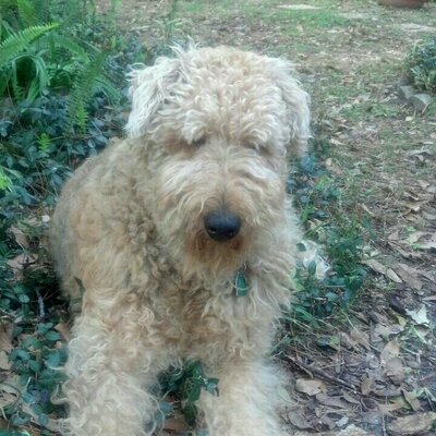 Profile Picture of Ed Irby (@IrbyEd) on Twitter