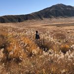 Profile Picture of Peter lok (@peterjaii) on Instagram