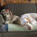 Profile Picture of Carol Roach (@carol.roach.7374) on Facebook