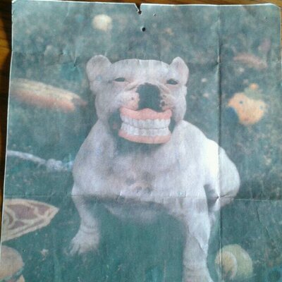 Profile Picture of Brian Staats (@brian_staats) on Twitter