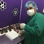 Profile Picture of Ernesto Luis Salcedo Tito (@salcedo_bulls_peis) on Instagram