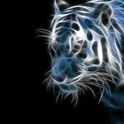 Profile Picture of Kaspy (@kaspy772) on Youtube