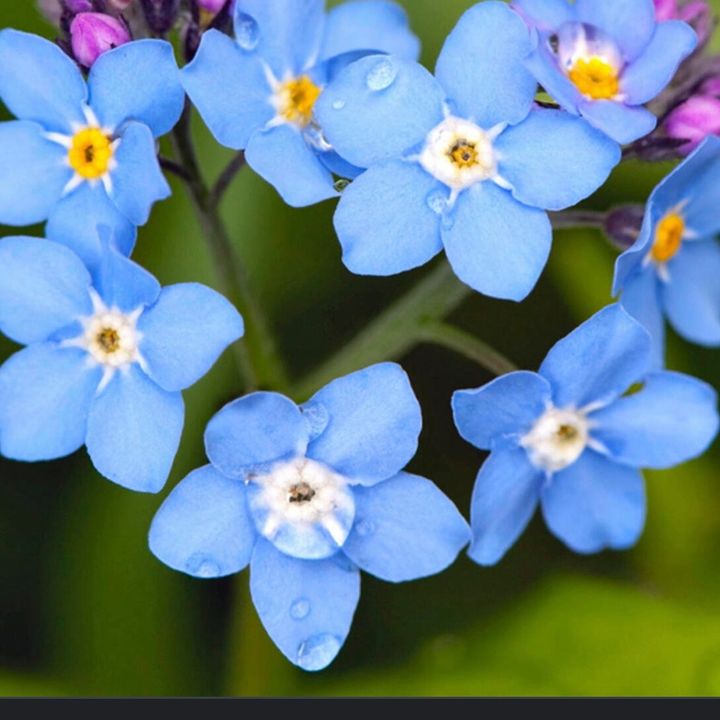 Profile Picture of .lisafischer0 (@.lisafischer0) on Tiktok