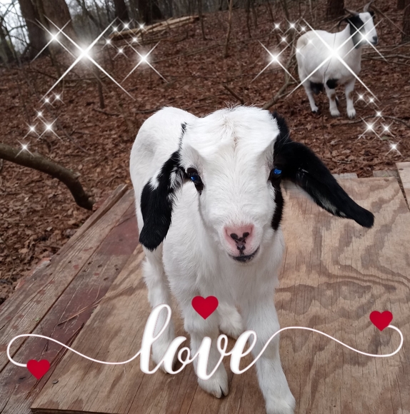 Profile Picture of Jimmie Underwood (@jimmieunderwood) on Poshmark