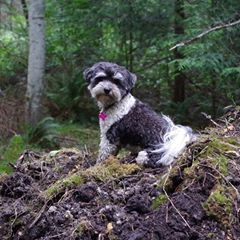 Profile Picture of Paul Hutton (@paulhutton33) on Tiktok