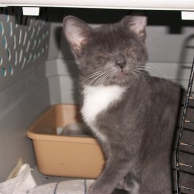 Profile Picture of Michael T Sechler (@Mrmikey60) on Twitter