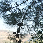 Serge  Sonnino - Flickr Profile Picture of Serge  Sonnino (@serg sonnino 55) on Flickr