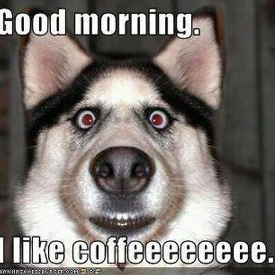 Profile Picture of Charles Haney (@cdhaney1) on Twitter