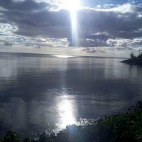 Profile Picture of Necee Williams (@necee-williams) on Quora