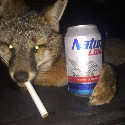 Profile Picture of James Hardin (@jameshardin77) on Twitter