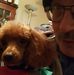 Profile Picture of Bill Gaumer (@bill.gaumer.1) on Facebook