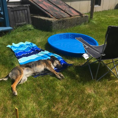 Profile Picture of Lillian Stiles (@lilliankstiles) on Twitter