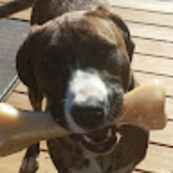 Profile Picture of Paul Carpenter (@paulcarpente134) on Poshmark