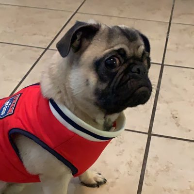 Profile Picture of Benjamin Prieto (@Benjami77705617) on Twitter