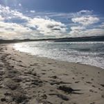 Profile Picture of Sam Bradshaw (@sammyy.bradshaw) on Instagram