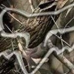 Profile Picture of Jacob WIcker (@jacobwicker8) on Instagram