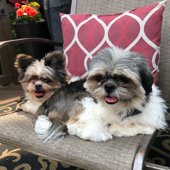 Profile Picture of Nancy Verdi (@chrisalyss) on Poshmark