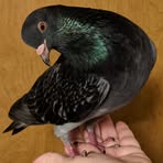 Profile Picture of Danielle Marie Ramsey (@DSmith40) on Facebook