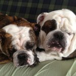 Profile Picture of Bill Dorsch (@mcanulty) on Instagram