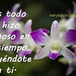 Profile Picture of Luvia Tobar (@aracely.tobar.54) on Instagram