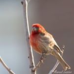 Profile Picture of Marcel Lussier (@marcel.lussier.33) on Instagram