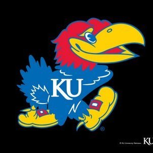 Profile Picture of Brendon Igercic (@JayhawksWinger) on Twitter