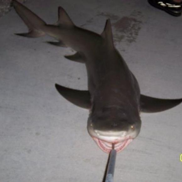 Profile Picture of Michael Van dusen (@meticulouslj) on Poshmark