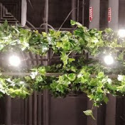 Profile Picture of Karain Ballejos (@karainballejos8883) on Youtube