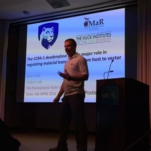 Profile Picture of Kevin Hart (@HartMalaria) on Twitter