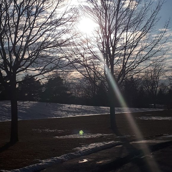 Profile Picture of Badea Ikhlef (@badeaikhlef) on Poshmark