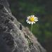 Profile Picture of Anne Dinh (@dinh.1471) on Facebook