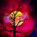 Profile Picture of Sean Sciacca (@sean.sciacca.94) on Facebook