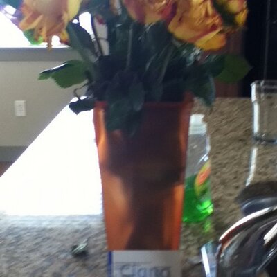 Profile Picture of Jacob Noyes (@jacobnoyes2004) on Twitter