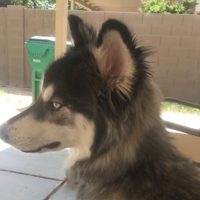 Profile Picture of Austin Engel (@AustinEngel__) on Twitter