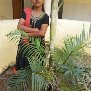 Profile Picture of Usha Shankar (@0a5a86fcb559466) on Twitter
