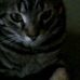 Profile Picture of Charlie Bamford (@charlie.bamford.54) on Facebook