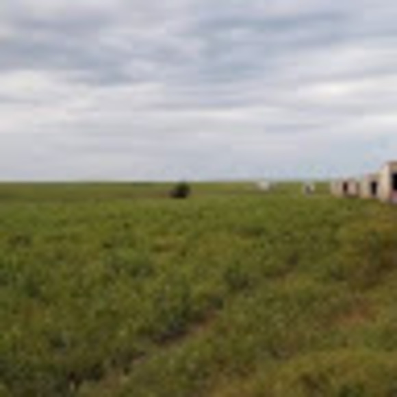 Profile Picture of Clinton Joshlin (@cricketsback19) on Poshmark